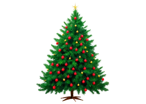 tannenbaum,kerschbaum,christmas tree pattern,fir tree decorations,nordmann fir,bierenbaum,christmas tree,the christmas tree,fir tree,gruenbaum,bichlbaum,christmas tree with lights,weizenbaum,oranienbaum,christmas motif,spruce tree,decorate christmas tree,kleinbaum,kershenbaum,christmas trees,Photography,Fashion Photography,Fashion Photography 10