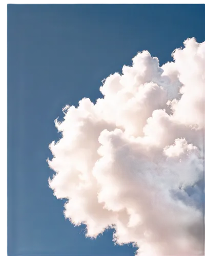 cumulus cloud,cloud image,cumulus nimbus,towering cumulus clouds observed,cloud shape frame,cloud mushroom,cumulus clouds,cloud shape,single cloud,about clouds,cumulus,cloudscape,clouds - sky,cloud formation,cloud play,cloudporn,partly cloudy,clouds,cloudiness,blue sky and clouds,Photography,Fashion Photography,Fashion Photography 05