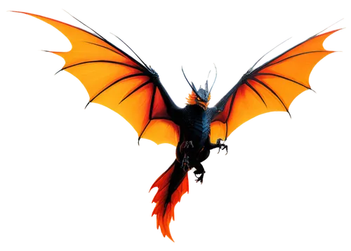 charizard,draconic,little red flying fox,dragon design,flying fox,bat,black dragon,painted dragon,halloween vector character,butterfly vector,fire kite,dark-type,dragon,firebird,megabat,lantern bat,fire breathing dragon,firethorn,fruit bat,greater crimson glider,Illustration,Vector,Vector 13