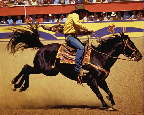 Compose an album cover for a rodeo capturing the energy and excitement.,matador,chilean rodeo,barrel racing,rodeo,pegaso iberia,horsemanship,western riding,amarillo,rodeo clown,cowboy mounted shooting