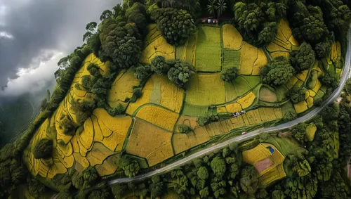 an aerial view shows farmland and fields,rapeseed field,aerial landscape,hillfort,fruit fields,field of rapeseeds,sinnoh,Photography,General,Natural