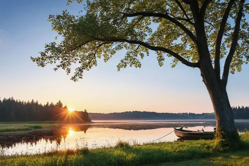 finnish lapland,midsummer,scandinavia,slowinski national park,snake river lakes,old wooden boat at sunrise,lapland,vancouver island,starnberger lake,british columbia,background view nature,sweden,river landscape,allgäu kässspatzen,freshwater marsh,finland,ringedalsvannet,landscape background,north baltic canal,federsee,Photography,General,Realistic