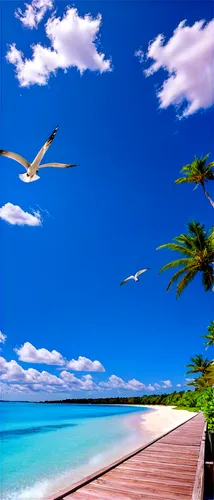 Palm trees, white sandy beach, crystal clear turquoise water, sunny day, blue sky with puffy clouds, seagulls flying overhead, exotic flowers in bloom, lush greenery, wooden dock, sailboat in distance