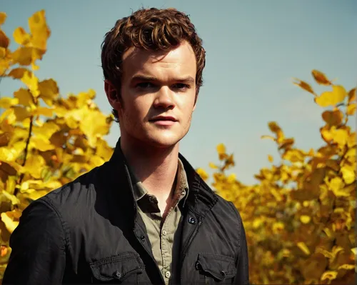 Jack Quaid Hunger Games Character Jack quaidJack Quaid Hunger Games Character,jack pine,prostrate juniper,newt,lincoln blackwood,yellow pine,plum pine,calluna,chile pine,beatenberg,moray,autumn icon,r