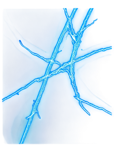 electrothermal,electrify,eletrica,garrison,luminol,electrification,hvdc,electronical,electrocutionist,electroluminescence,electrokinetic,electrique,energex,electricite,thermoluminescence,photoluminescence,electromigration,electrocutions,electricity,electrico,Illustration,Vector,Vector 12