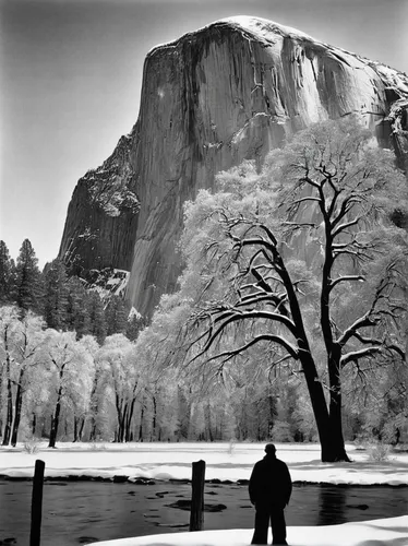 yosemite,half dome,yosemite park,yosemite valley,half-dome,yosemite national park,salt meadow landscape,el capitan,nationalpark,bond falls,national park,monochrome photography,blackandwhitephotography,gufufoss,the national park,snow mountain,salt meadows,earl gray,zion,snowy landscape,Photography,Documentary Photography,Documentary Photography 27