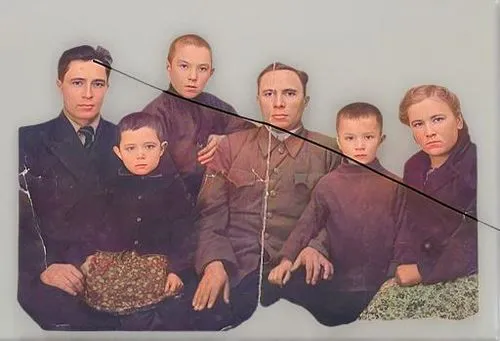 composite,mulberry family,franz ferdinand,purslane family,the flower buds,barberry family,cd cover,enz,rubiaceae family,album cover,legume family,star trek,caper family,modern christmas card,family ph