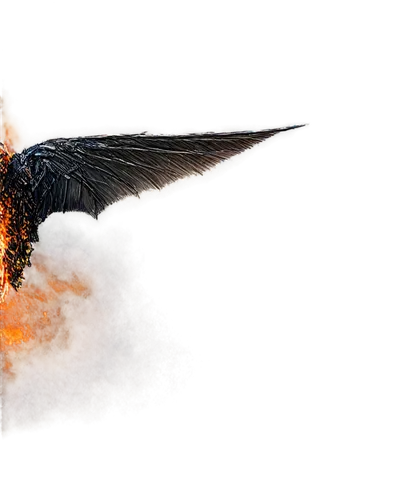 strombolian,uniphoenix,fireflight,soar,pheonix,dragonfire,microraptor,fire breathing dragon,firedrake,temeraire,brisingr,rodan,fenix,dragon fire,angelfire,eruption,bird in flight,flying sparks,gamera,strix nebulosa,Conceptual Art,Fantasy,Fantasy 11