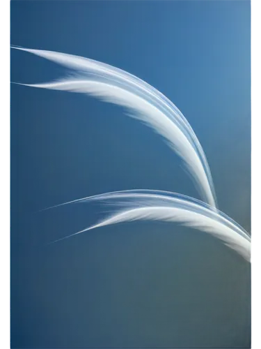 blue leaf frame,airfoil,abstract air backdrop,wind edge,splashtop,abstract background,swan feather,ibooks,book cover,white feather,elymus,framemaker,blue butterfly background,transparent background,silver grass,aluminized,background abstract,windspeed,blue gradient,blue background,Photography,Documentary Photography,Documentary Photography 32