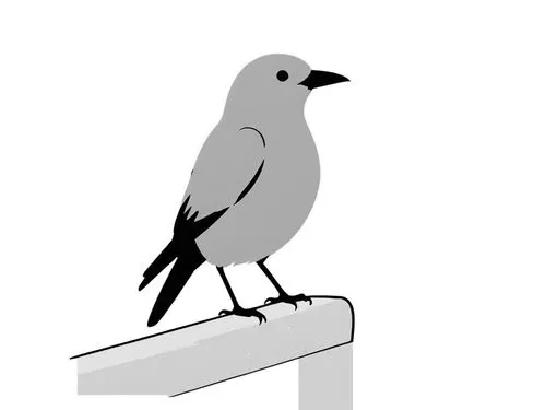 a black and white bird perched on top of a post,gray bird,bird illustration,bird png,mountain jackdaw,titmouse,catbird,Design Sketch,Design Sketch,Rough Outline