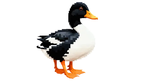 shelduck,rockerduck,duck,blackduck,jodocus,brahminy duck,canard,cayuga duck,puffinus,female duck,ornamental duck,the duck,lameduck,duck bird,quacker,quacking,pengo,scaup,patito,gooseander,Unique,Pixel,Pixel 01