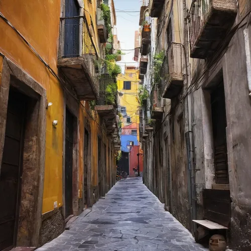 Alley in the densely populated Spanish Quarter (Quartieri Spagnoli), City of Naples, Campania, Italy, Europe,narrow street,naples,cagliari,cinque terre,manarola,genoa,liguria,bari,alleyway,sicily,vern