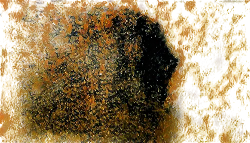 rusty door,brown mold,watercolour texture,oxidation,propolis,ocher,palimpsest,oxidize,mold,finch in liquid amber,corroding,rost,mould,bronze wall,background abstract,oil stain,biofouling,abstract gold embossed,amphibole,chaga,Art,Classical Oil Painting,Classical Oil Painting 39