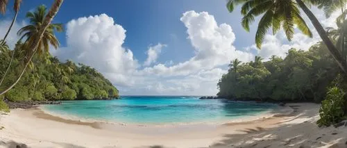 tropical beach,dream beach,tropical sea,beautiful beach,paradise beach,sand,Photography,General,Natural