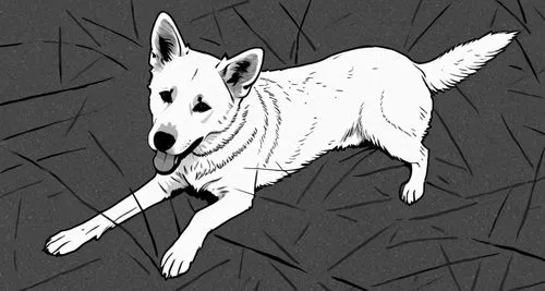 A white shepherd like dog laying on smooth asphalt. two front legs and one back leg are visible,dog line art,dog illustration,cavedog,canidae,white dog,dog drawing,dewclaw,canid,sled dog,line art anim