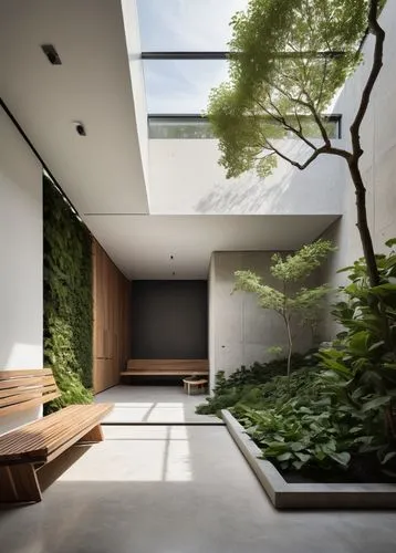 japanese-style room,ryokan,zen garden,japanese zen garden,garden design sydney,atriums,Photography,General,Natural