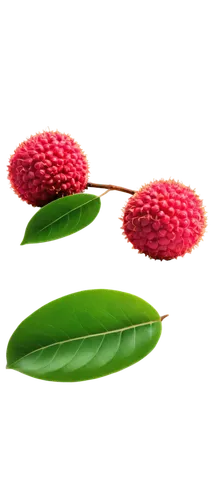 chloropaschia,lychees,celery and lotus seeds,azolla,cactus digital background,aquatic plant,lotus leaves,monocot,microflora,aquatic plants,citronella,lotus seed pod,raspberry leaf,watermelon background,flowers png,chloroplast,carnivorans,water lily leaf,myrtaceae,cissus,Art,Classical Oil Painting,Classical Oil Painting 26