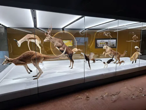 diorama,exhibits,denisovans,dromedaries,a museum exhibit,taxidermists