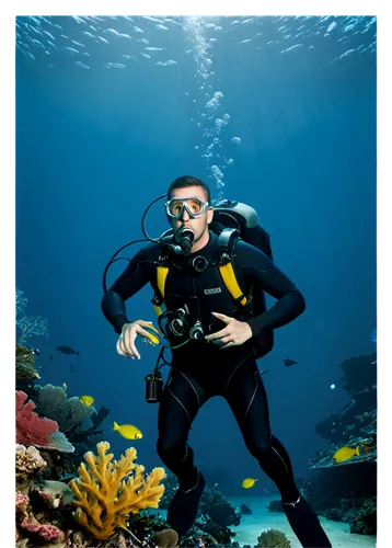 scuba diving,divemaster,buceo,scuba,underwater background,aquarist,rebreather,sidemount,photo session in the aquatic studio,rebreathers,cousteau,freediving,nose doctor fish,marine tank,freediver,aquanaut,drysuit,deep sea diving,oceanographer,under water,Illustration,Vector,Vector 13