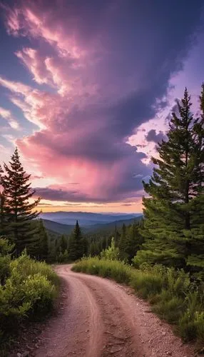 appalachian trail,dirt road,vermont,landscape photography,purple landscape,ore mountains,winding road,country road,mountain road,landscapes beautiful,forest road,great smoky mountains,spruce forest,coniferous forest,the mystical path,pine forest,landscape background,blue ridge mountains,the road,beautiful landscape,Photography,General,Realistic