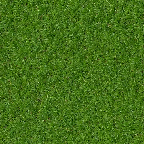 artificial grass,green wallpaper,zoysia,block of grass,quail grass,green lawn,Realistic Material,Grass,Grass 01