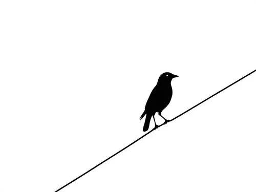 a bird is sitting on a wire and looking down,crow in silhouette,perched on a wire,tightrope walker,birds on a wire,tightrope,bird on branch,Design Sketch,Design Sketch,Rough Outline