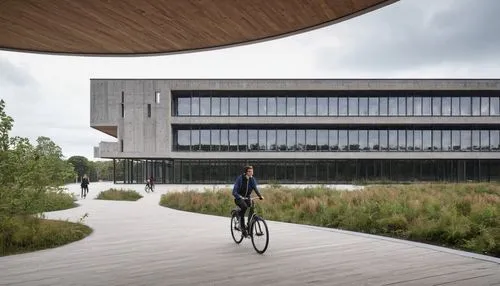 snohetta,epfl,bjarke,arkitekter,schulich,gensler,renderings,hallward,corten steel,safdie,embl,radboud,biotechnology research institute,archidaily,architektur,revit,cambium,modern office,school design,skolkovo,Art,Artistic Painting,Artistic Painting 25