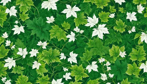 Vine Leaf & Foliage Wallpaper Mural Green and White - Your 4 Walls,spring leaf background,green wallpaper,wood daisy background,leaf background,background ivy,floral digital background,clover pattern,