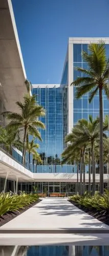 wintergarden,mco,phototherapeutics,calpers,gaylord palms hotel,kaust,vdara,fiu,autonation,walt disney center,royal palms,cityplace,damac,kgmb,office buildings,the palm,borgata,hkmiami,company headquarters,headquaters,Unique,Paper Cuts,Paper Cuts 03