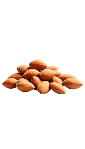 almond nuts,unshelled almonds,almonds,indian almond,pine nuts,almond,noise almond,roasted almonds,groundnuts,groundnut,pumpkin seeds,nutshells,cocoa beans,nutans,argan,mixed nuts,almond oil,isolated product image,salted peanuts,kacang,Illustration,Vector,Vector 05