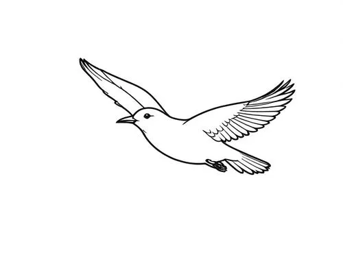 a bird flying in the air with its wings spread,dove of peace,peace dove,doves of peace,white dove,dove,tsuru,Design Sketch,Design Sketch,Rough Outline