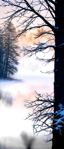 virtual landscape,foresees,winter landscape,evening lake,dusk background,waterscape,winter lake,winter forest,winter background,driftless,waterbody,blue hour,treeline,multiple exposure,winterreise,winter dream,nightfall,pond,twilight,evanescent,Illustration,Realistic Fantasy,Realistic Fantasy 32