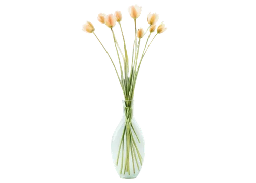 Delicate petals, pastel colors, intricate center, slender stems, leaves with veins, sparkling dew drops, morning sunlight, soft focus, shallow depth of field, warm color tone, gentle composition, 3/4 