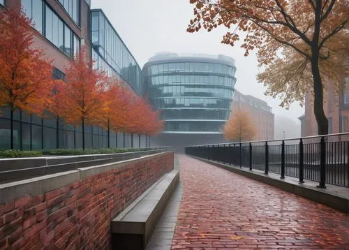 foggy bottom,autumn fog,bunshaft,foggy day,bundesbank,hafencity,the european parliament in strasbourg,julliard,foggy,embl,europarliament,dense fog,bundestag,staatsbibliothek,foggy landscape,macalester,ground fog,massart,veil fog,european parliament,Photography,Fashion Photography,Fashion Photography 17