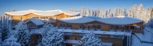 the building is surrounded by trees covered in snow,jahorina,gulmarg,monashee,snow roof,winter house,snowhotel,Photography,General,Realistic