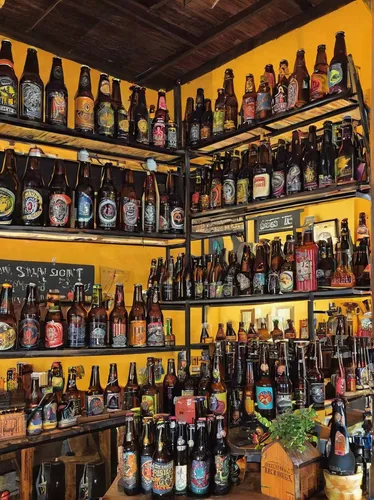 brandy shop,unique bar,rosa cantina,liquor bar,beer bottles,bottles,bar,beer sets,cellar,beer banks,beer tap,batería de castillitos,craft beer,nicaraguan cordoba,glass bottles,botellón,jägertstand,liquor store,antigua guatemala,barware,Illustration,American Style,American Style 14