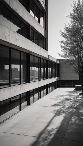 bunshaft,mies,brutalist,chipperfield,njitap,neutra,robarts,pedway,jadwin,pinhole,riffe,midcentury,southfield,arborway,skyways,breezeway,ccac,bmcc,compuware,schoolyards,Photography,Documentary Photography,Documentary Photography 27