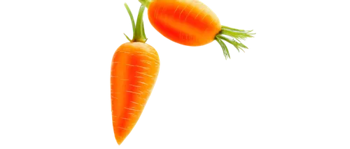 Carrot PNG, orange, vibrant color, leafy green top, rounded tip, glossy surface, detailed texture, slight shine, solo, centered composition, soft natural light, shallow depth of field, warm color tone