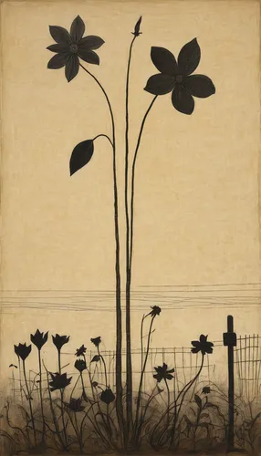 Create a dark poem describing three withered flowers in a haunted graveyard.,sand coreopsis,cool woodblock images,ikebana,coneflowers,retro flower silhouette,brook avens,perennials-sun flower,garden c