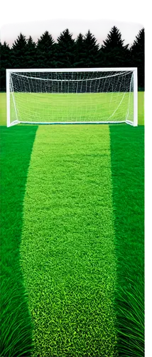 artificial turf,artificial grass,football pitch,soccer field,playing field,football field,penalty card,halm of grass,block of grass,forest ground,soccer-specific stadium,green lawn,turf roof,green grass,boundary line,athletic field,grass blades,goalkeeper,soccer,quail grass,Photography,Fashion Photography,Fashion Photography 20