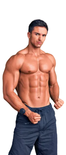 vadra,hrithik,ferrigno,khiladi,ferrigato,body building,nudelman,physiques,trenbolone,gynecomastia,kushti,pec,natekar,nanjundaswamy,emraan,gautam,vijender,muscleman,fitness model,bufferin,Illustration,Realistic Fantasy,Realistic Fantasy 41