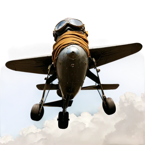 tailwheel,taildragger,aerobatic,cropduster,biplane,polikarpov,aerobatics,saulnier,tailgunner,warbird,airmanship,warplane,monoplane,model airplane,motor plane,vought,rocketplane,kittyhawk,tucano,stearman,Illustration,American Style,American Style 09