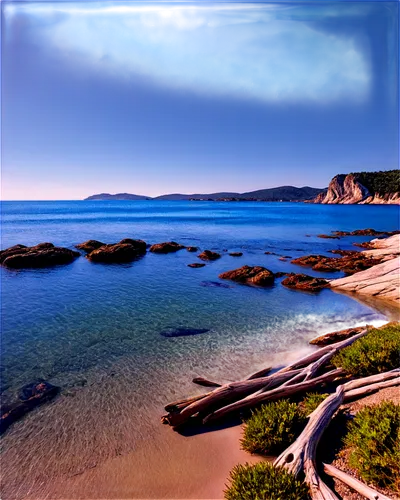 Seaside scenery, calm ocean waves, clear blue sky, fluffy white clouds, sandy beach, rocky shoreline, driftwood, seaweed, morning sunlight, warm color tone, panoramic view, ultra-wide-angle lens, high