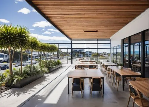 Davista architectural designers, Tauranga, New Zealand, modern office building, glass façade, steel structure, wooden accents, green roof, outdoor courtyard, succulent plants, natural light pouring in