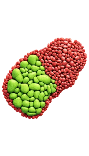 azolla,chloropaschia,microspheres,lipoprotein,apolipoprotein,microvilli,pentachlorophenol,chloroplasts,chloroprene,chloroplast,microkernels,liposomes,nanoparticle,stomata,nanoparticles,lipoproteins,microvesicles,microsporum,microalgae,microflora,Art,Artistic Painting,Artistic Painting 30