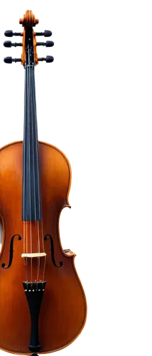 stradivari,violoncello,violino,violin,violon,stradivarius,guarneri,violito,stringed bowed instrument,violin neck,cello,stringed instrument,violins,violons,violist,string instrument,string instruments,plucked string instrument,bowed instrument,derivable,Illustration,Abstract Fantasy,Abstract Fantasy 01