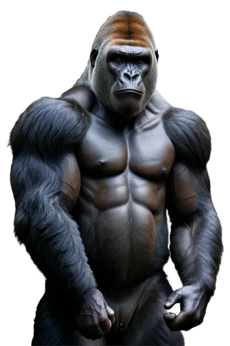 gorilla,haramirez,ape,shabani,silverback,dk,virunga,apeman,rilla,konga,goro,ebz,prosimian,simian,grodd,utan,gorillas,bufferin,koggala,gorilla soldier,Art,Classical Oil Painting,Classical Oil Painting 35