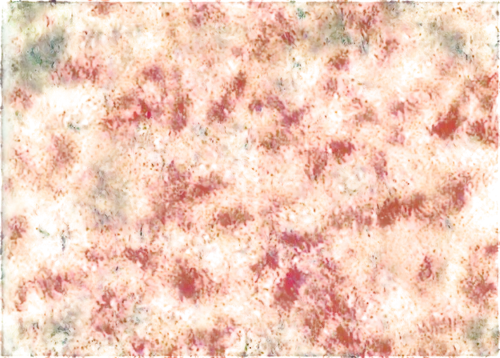 kngwarreye,seamless texture,degenerative,burning bush,generated,autumn frame,lava,firedamp,crayon background,impressionist,efflorescence,sphagnum,background texture,firebreaks,impressionistic,background abstract,shrub,maple foliage,ornamental shrub,transparent image,Conceptual Art,Sci-Fi,Sci-Fi 04