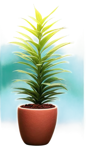 potted palm,growth icon,norfolk island pine,gymnosperm,potted plant,fern plant,cycas,hostplant,green plant,cycad,tenuifolia,darwinia,lycopodium,houseplant,pineapple plant,dracena,picea,zamia,palm tree vector,small plant,Conceptual Art,Sci-Fi,Sci-Fi 18