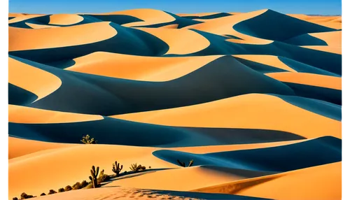 libyan desert,crescent dunes,dune landscape,desert desert landscape,namib,sahara desert,namib desert,sand dunes,desert landscape,sahara,desert background,admer dune,sand dune,desert,gobi desert,shifting dune,arid landscape,shifting dunes,capture desert,dunes,Photography,Black and white photography,Black and White Photography 09